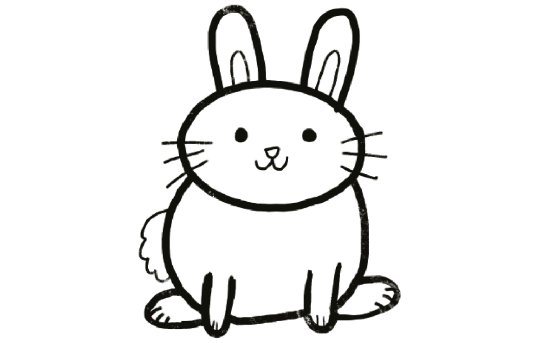Step-by-Step Drawing: Bunny